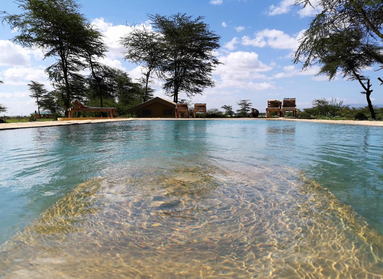 Africa Safari Lake Manyara Located Inside A Wildlife Park Mto wa Mbu Exterior photo