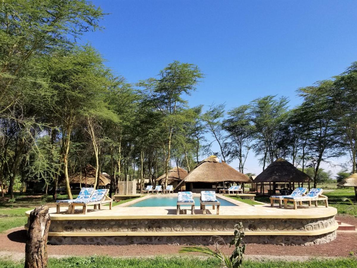 Africa Safari Lake Manyara Located Inside A Wildlife Park Mto wa Mbu Exterior photo