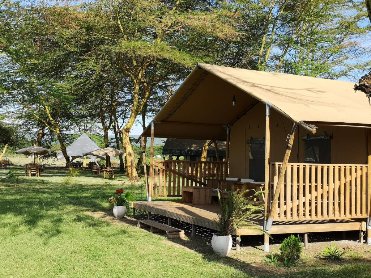 Africa Safari Lake Manyara Located Inside A Wildlife Park Mto wa Mbu Exterior photo