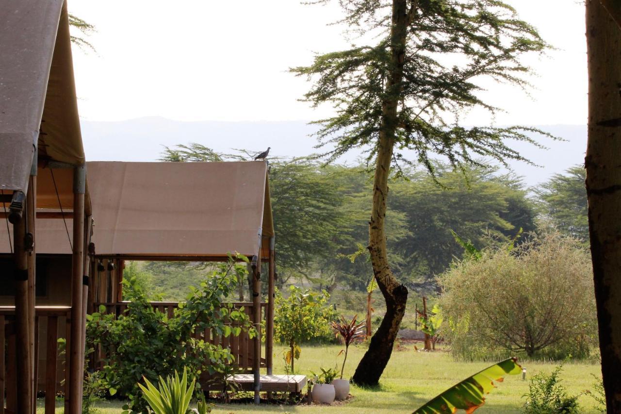 Africa Safari Lake Manyara Located Inside A Wildlife Park Mto wa Mbu Exterior photo