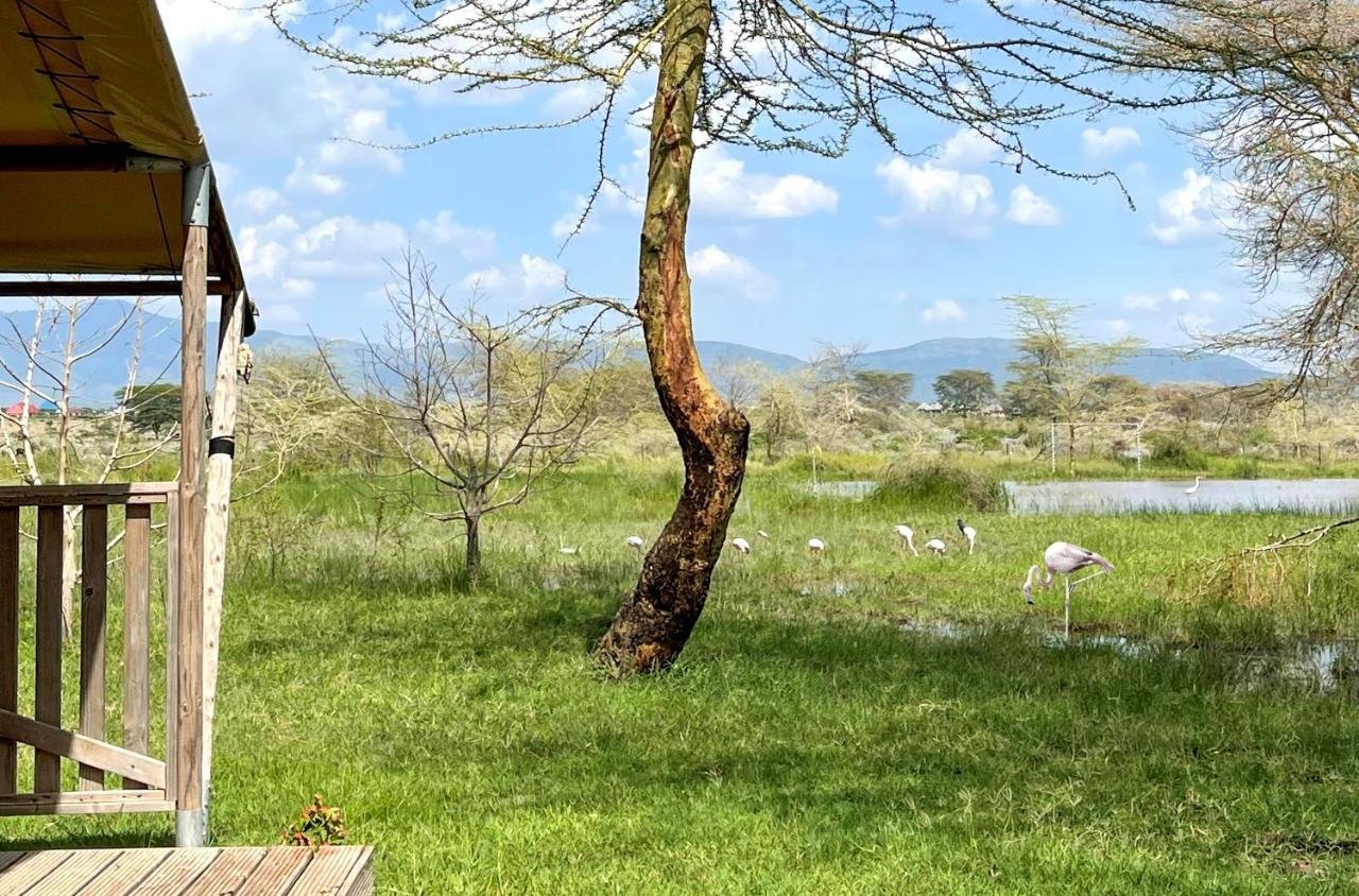 Africa Safari Lake Manyara Located Inside A Wildlife Park Mto wa Mbu Exterior photo