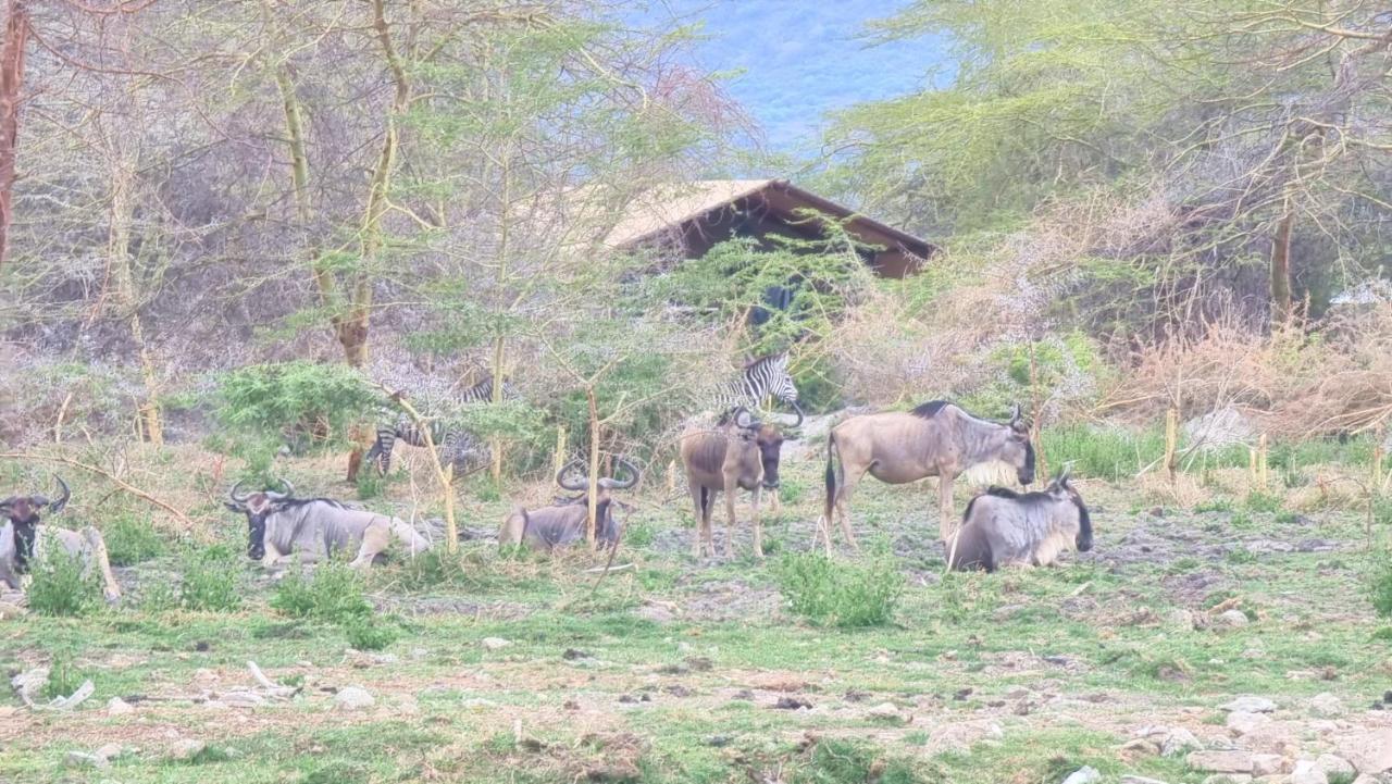 Africa Safari Lake Manyara Located Inside A Wildlife Park Mto wa Mbu Exterior photo