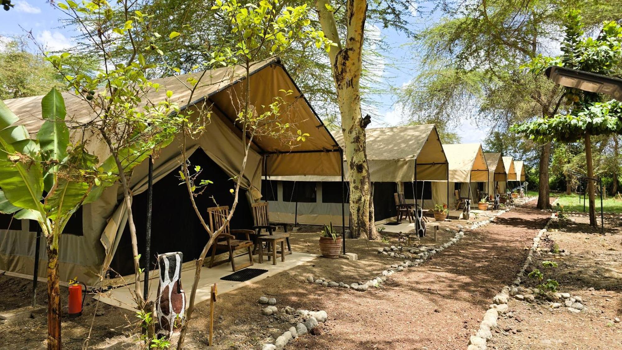 Africa Safari Lake Manyara Located Inside A Wildlife Park Mto wa Mbu Exterior photo